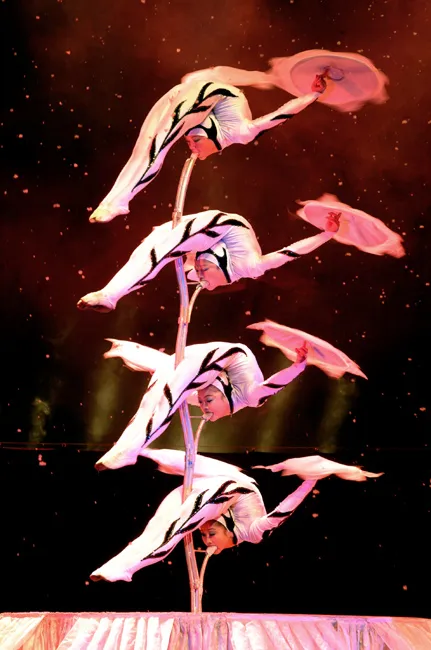 Chinese Acrobatics 12