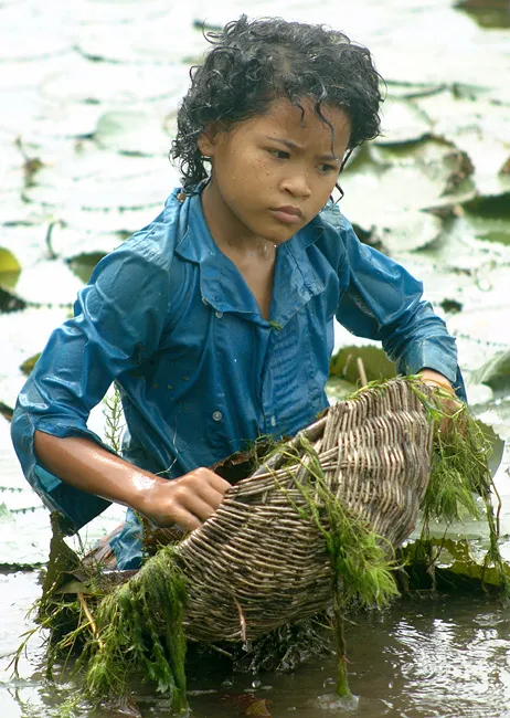 Cambodia 16