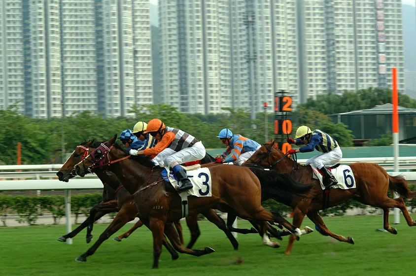 Hong Kong 7